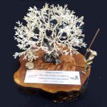 484076846_1049561023867890_2683352596722901699_n19